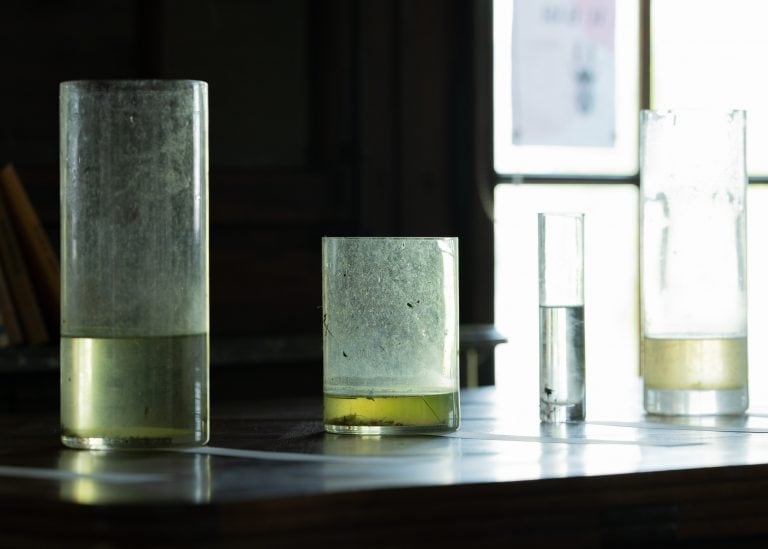 Compluvium ©Mathilde Chénin, 2024