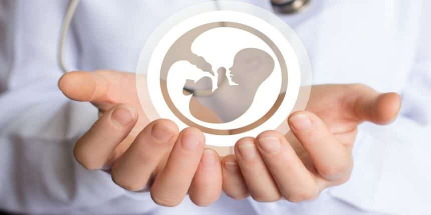 How much is IVF treatment?
