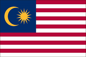 Medical tourism in malaysia