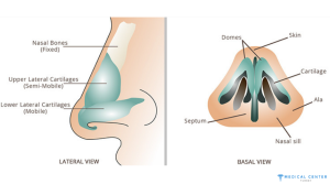 Male Rhinoplasty in Turkey 1