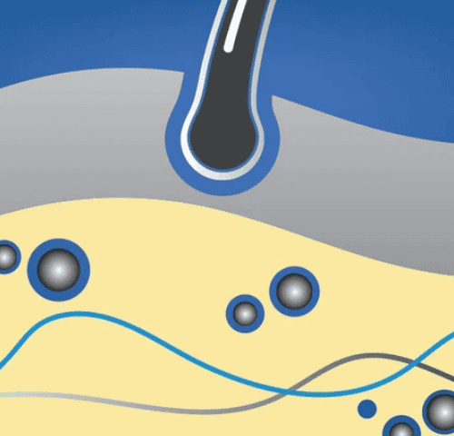 How Minoxidil Works?