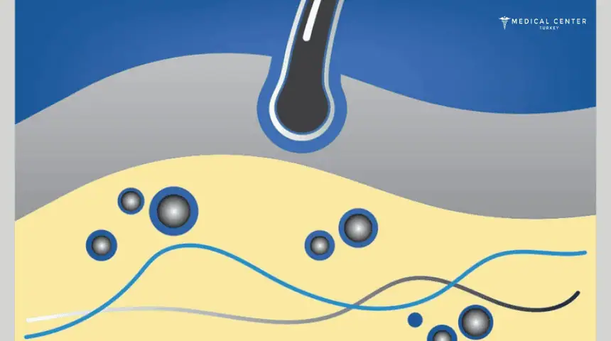 How Minoxidil Works?