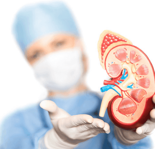 How Much Is a Kidney Transplant Surgery How Much Is a Kidney Transplant Surgery