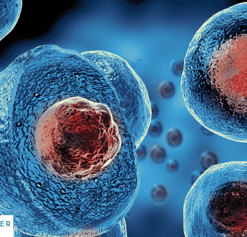 Stem Cell Therapy Turkey Stem Cell Therapy Turkey