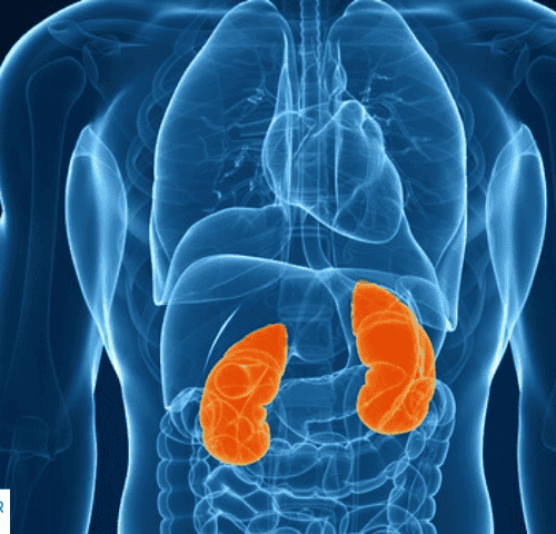 Everything Patients Need To Know About Cancer Markers Everything Patients Need To Know About Cancer Markers