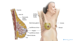 breast cancer in turkey