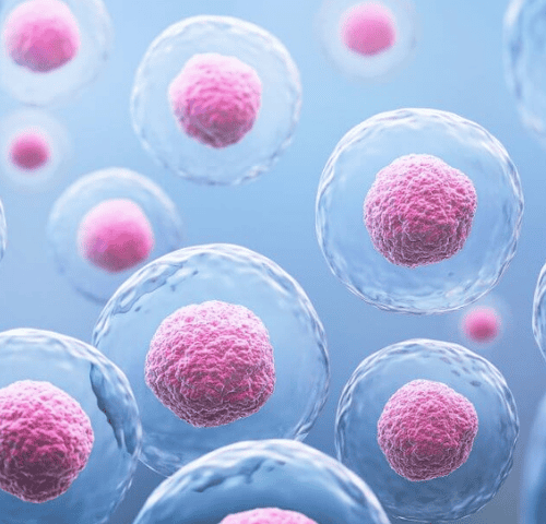 Stem Cell Therapy for Autism: A Revolutionary Step Towards Healing Stem Cell Therapy for Autism: A Revolutionary Step Towards Healing