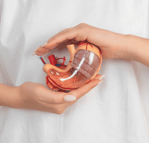 Advantages of a Gastric Bypass in Turkey 2025 Advantages of a Gastric Bypass in Turkey 2025