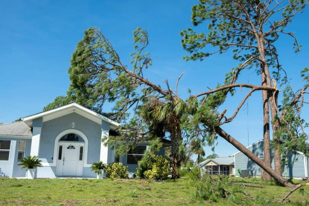 Home in Florida with tree damage after a hurricane, highlighting the need for Florida hurricane insurance claims to cover storm-related property losses.
