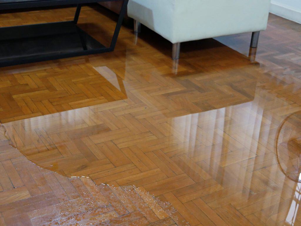 Water Damaged Floorboards