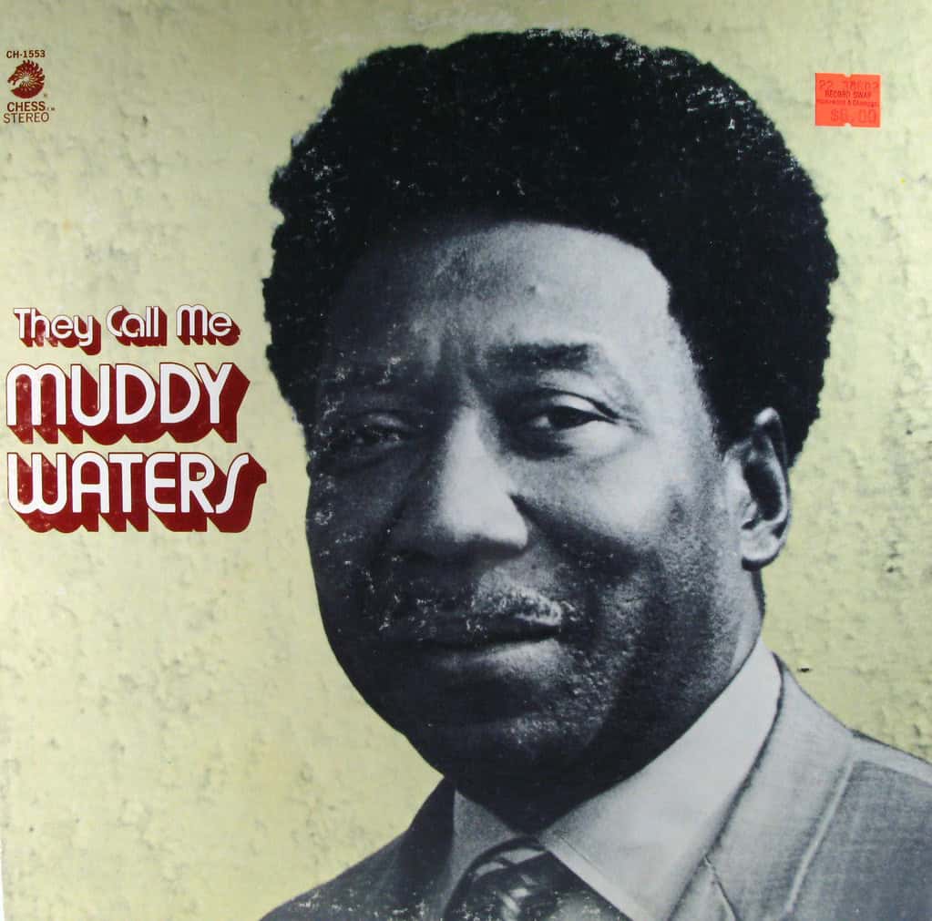 Muddy Waters