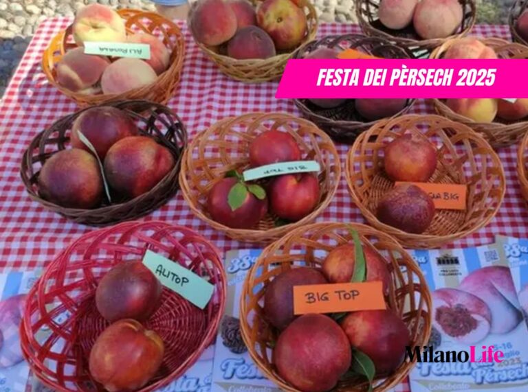 Festa dei Pèrsech 2025: date, programma e come arrivare