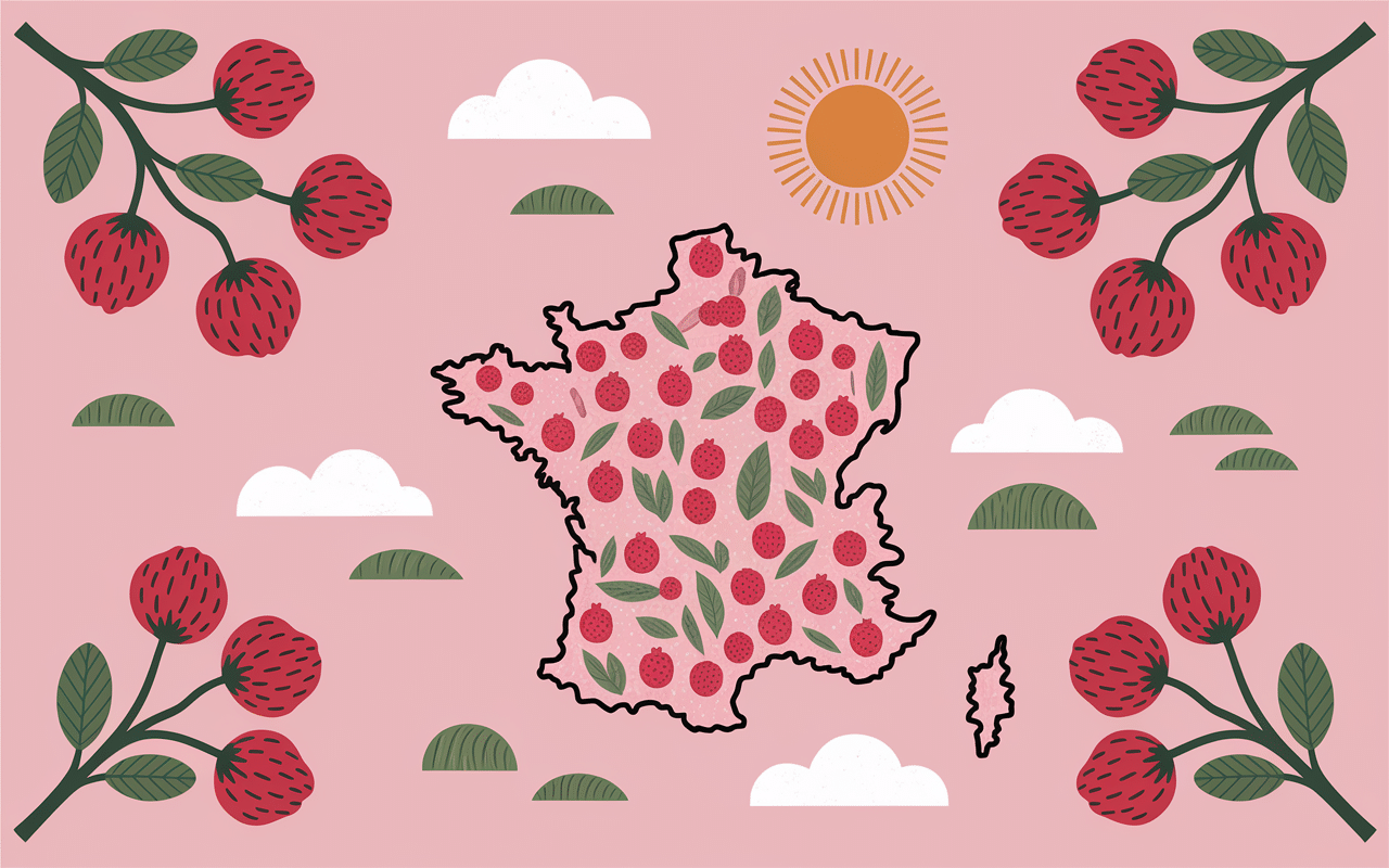 Calendrier saison framboises France