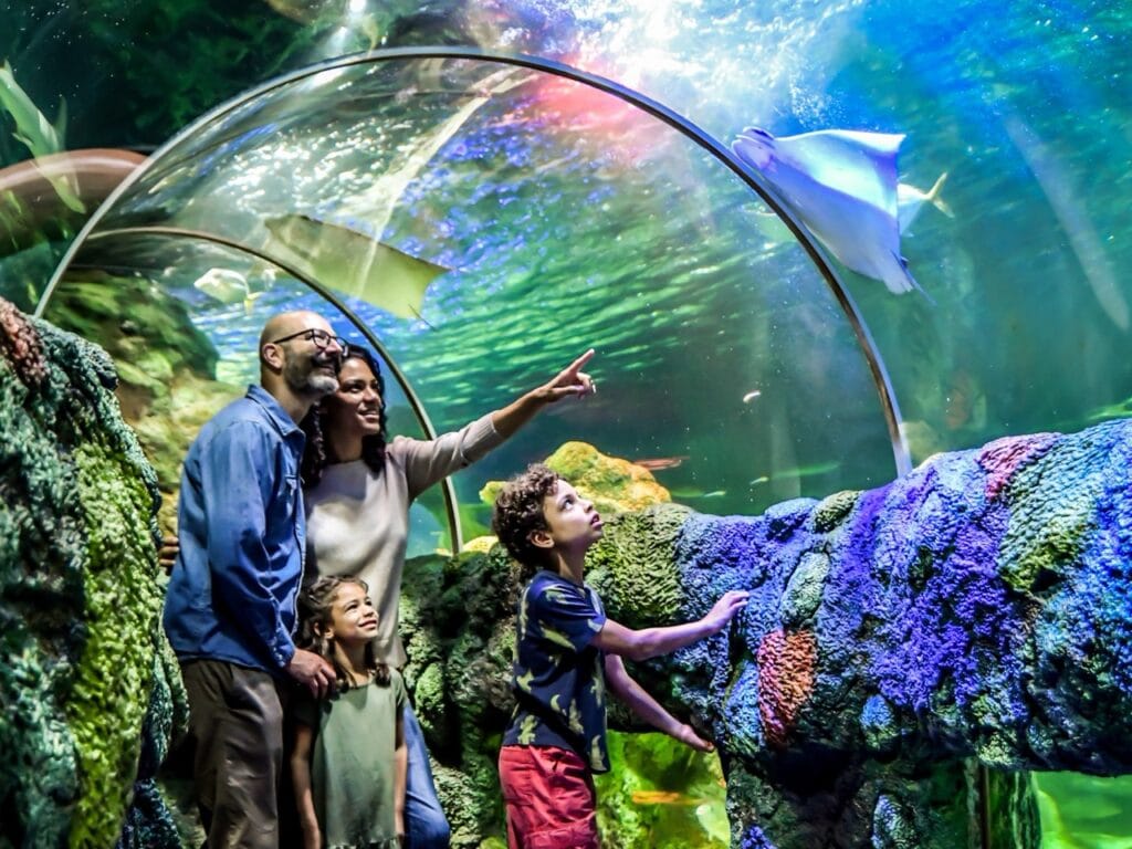 Family enjoying aquarium tunnel with colorful marine life.