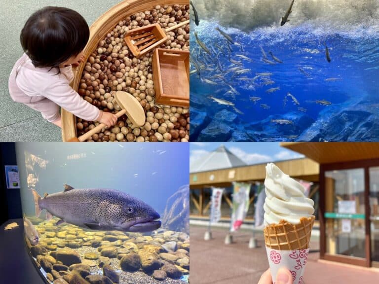 A four-photo collage showing highlights from a family day trip to Onneyu, including the aquarium, playroom, and local soft-serve ice cream.