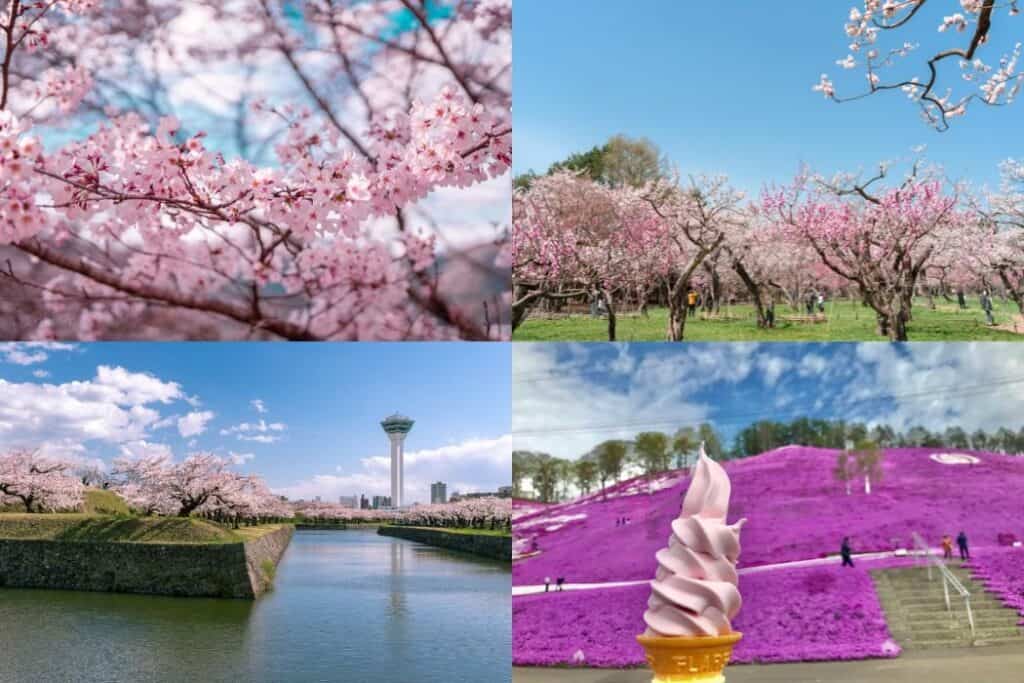 Spring collage of cherry blossoms in full bloom across Hokkaido, from pink petals in parks to Shibazakura fields and riverside views. Ideal for showcasing why mid-April is the best time to visit Hokkaido in spring.