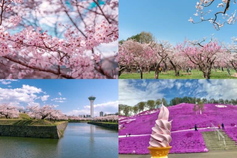 Spring collage of cherry blossoms in full bloom across Hokkaido, from pink petals in parks to Shibazakura fields and riverside views. Ideal for showcasing why mid-April is the best time to visit Hokkaido in spring.