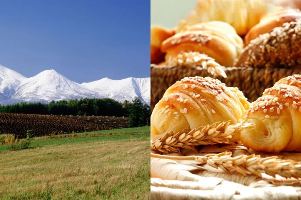A split image showing snow-capped mountains near Obihiro on the left, and golden, sesame-topped croissants on the right—capturing scenic and culinary gems of a 2 week Hokkaido itinerary.