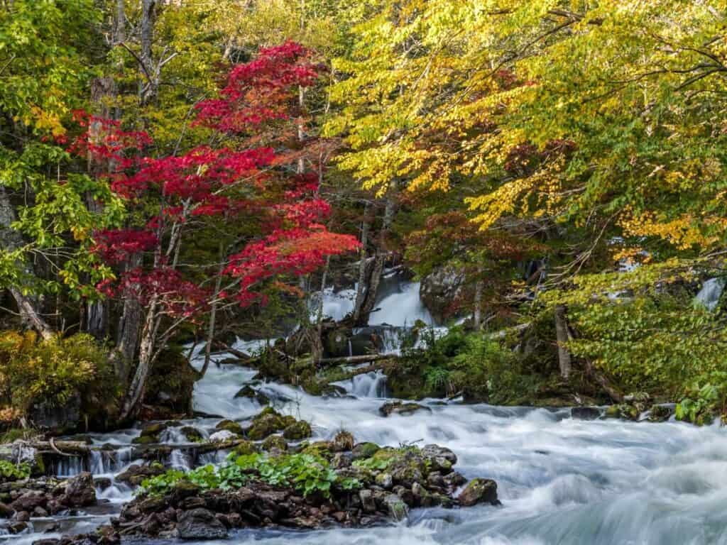 Autumn view from Takimi Bridge in Akan, Hokkaido, Japan