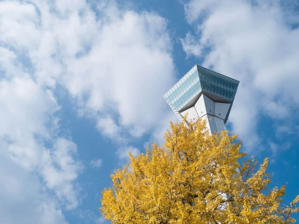 Goryokaku Tower in autumn with a yellow foliage tree, Hakodate, Hokkaido, Japan