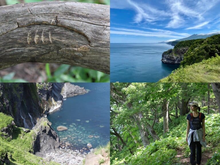 A collage of Shiretoko's natural beauty, including bear claw marks on a tree, coastal cliffs overlooking the Okhotsk Sea, a hiker in a lush green forest, and a scenic view of clear blue waters. Immersing in nature is one of the best things to do in Shiretoko.