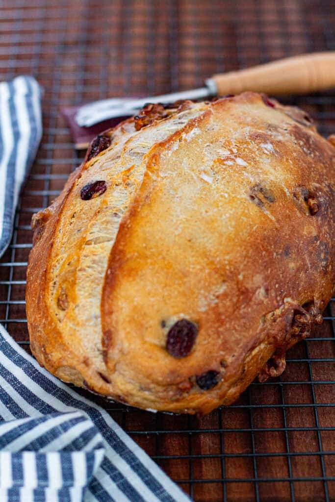 Freshly baked cranberry walnut bread cooling on a rack with a golden crust