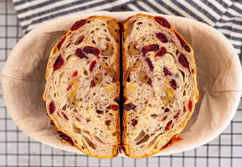 Inside view of cranberry walnut bread showing even crumb with cranberries and walnuts