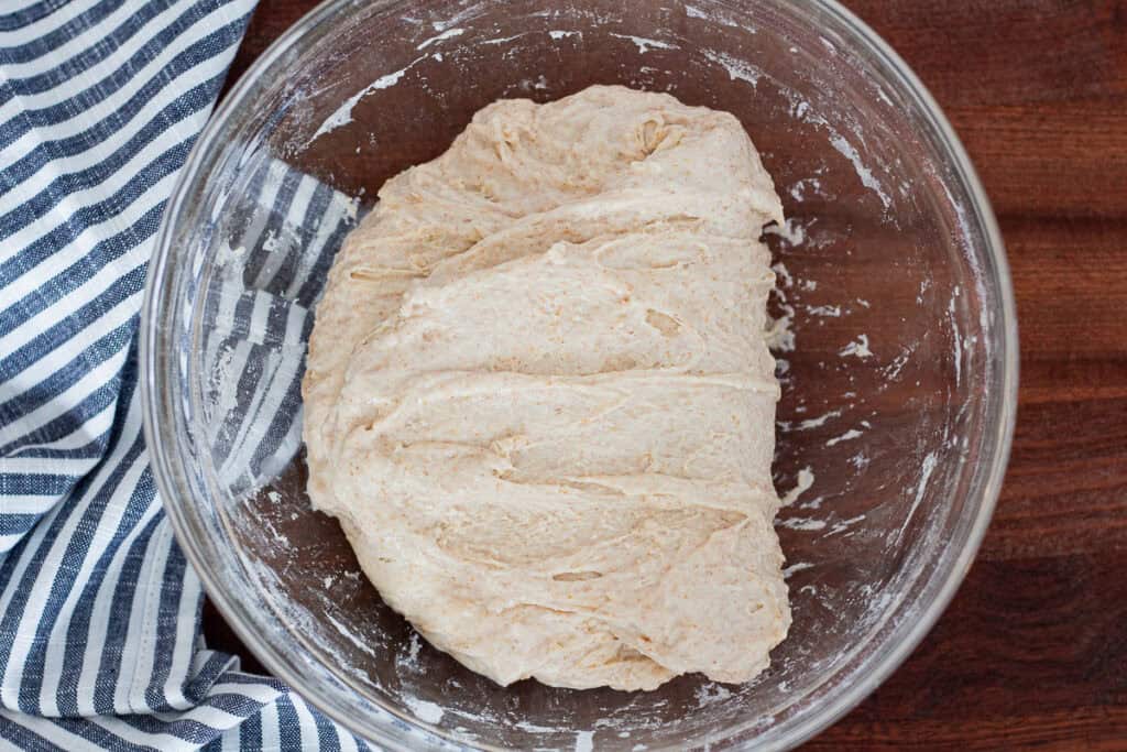 Strengthened dough after initial bowl folds during cranberry walnut bread prep.