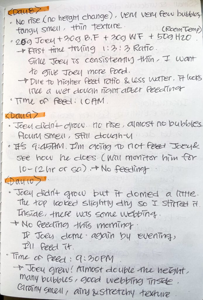 Handwritten journal notes showing day-by-day observations of my sourdough starter on Days 8 to 10.