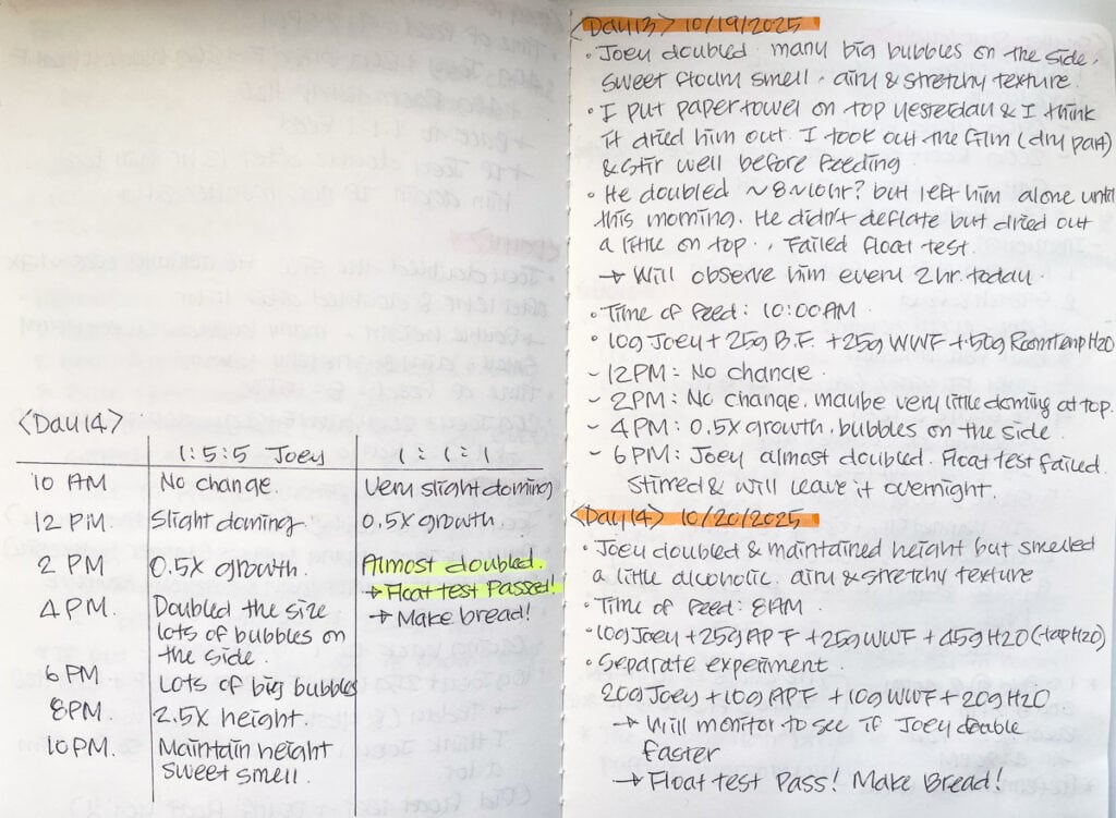 Two-page journal spread showing my handwritten sourdough starter notes for Days 13 and 14, including hourly growth tracking, smell and texture observations, bubble activity, and float test results.