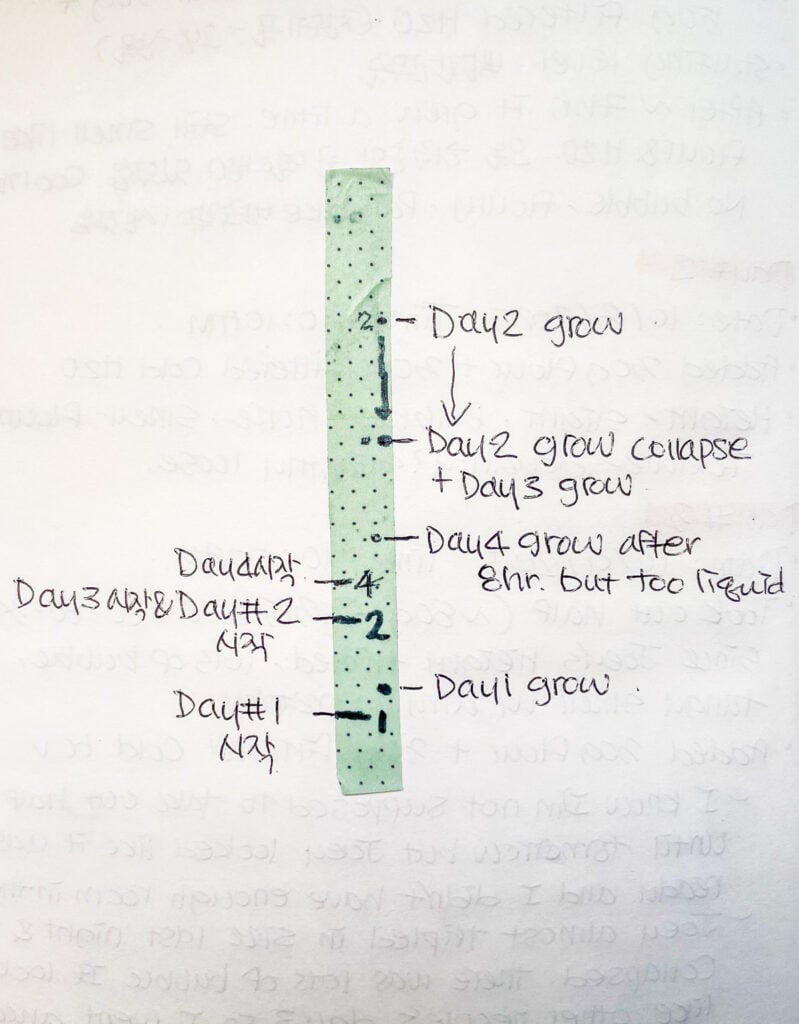 A taped rise chart showing the sourdough starter’s growth levels across several days.