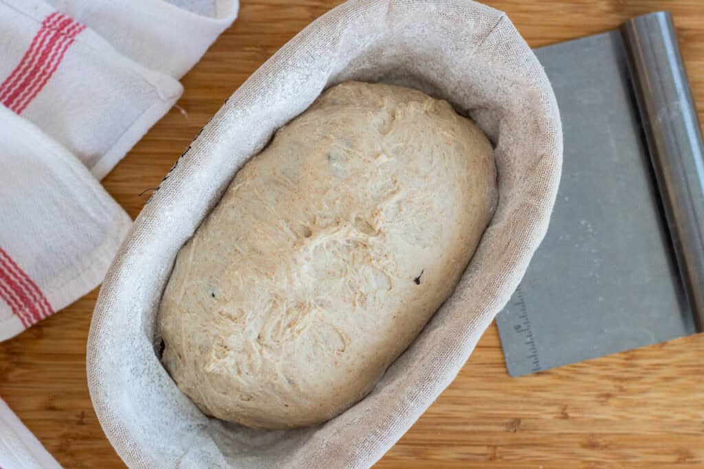 Shaped olive sourdough loaf resting in a lined banneton before chilling