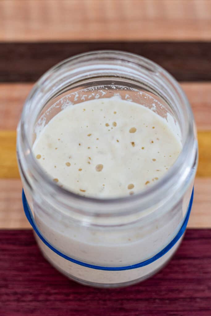 Overhead view of my sourdough starter with a smooth, lightly bubbly surface at reaching peak activity.