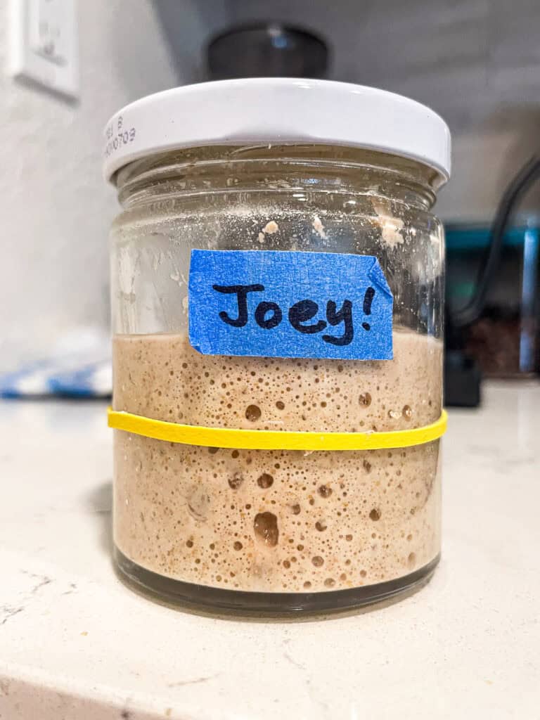 Close-up of a bubbly, well-developed sourdough starter in a jar with consistent fermentation.