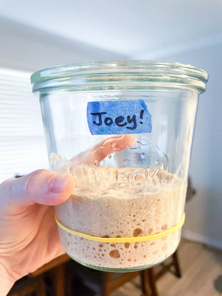 Jar of sourdough starter held up to the light, showing many bubbles and airy texture.