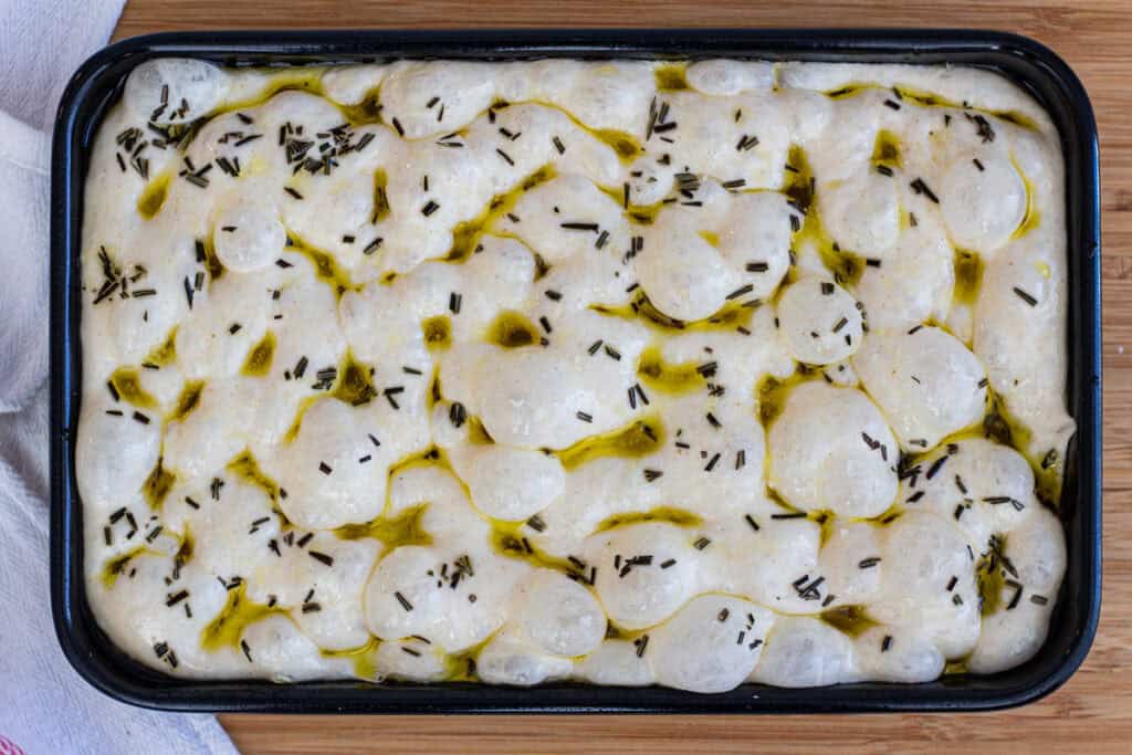 Sourdough discard focaccia dough dimpled with olive oil and rosemary before baking