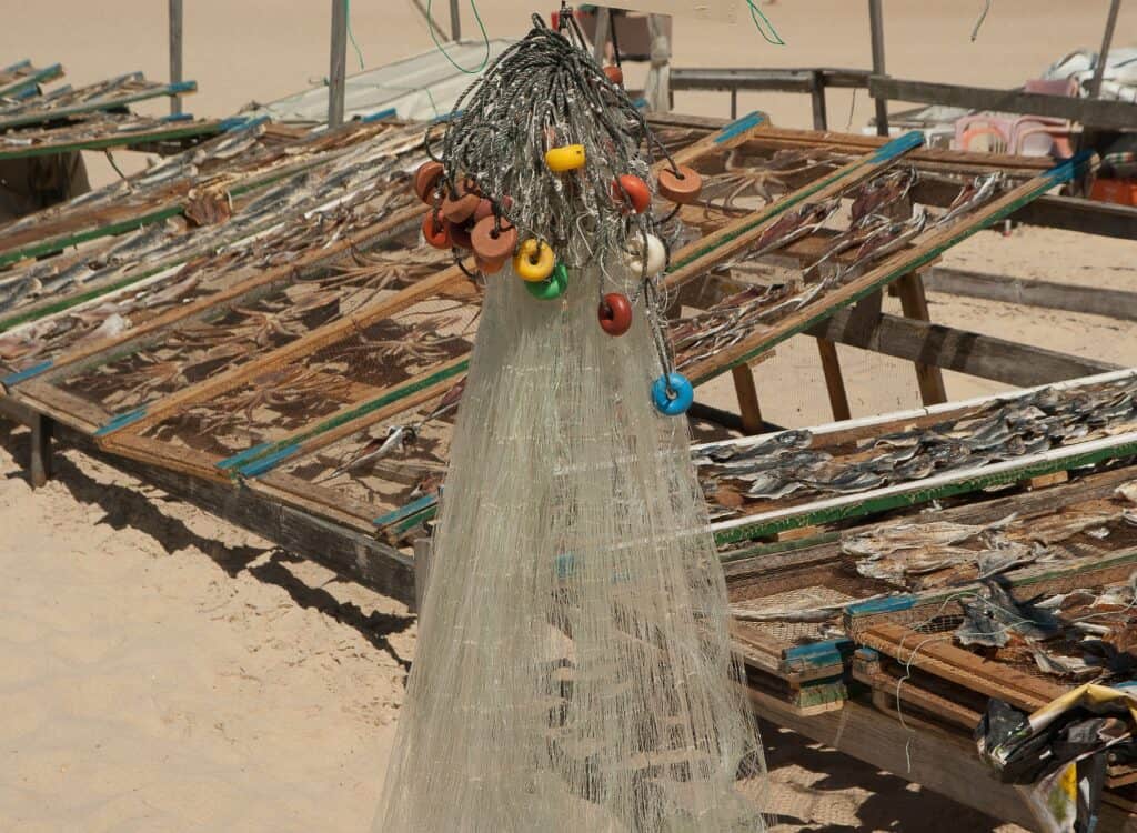 Nazaré Portugal FISH DRYING ON THE Beach