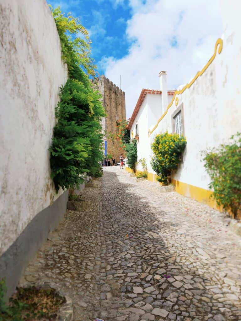 Obidos - Portugal - Street 2