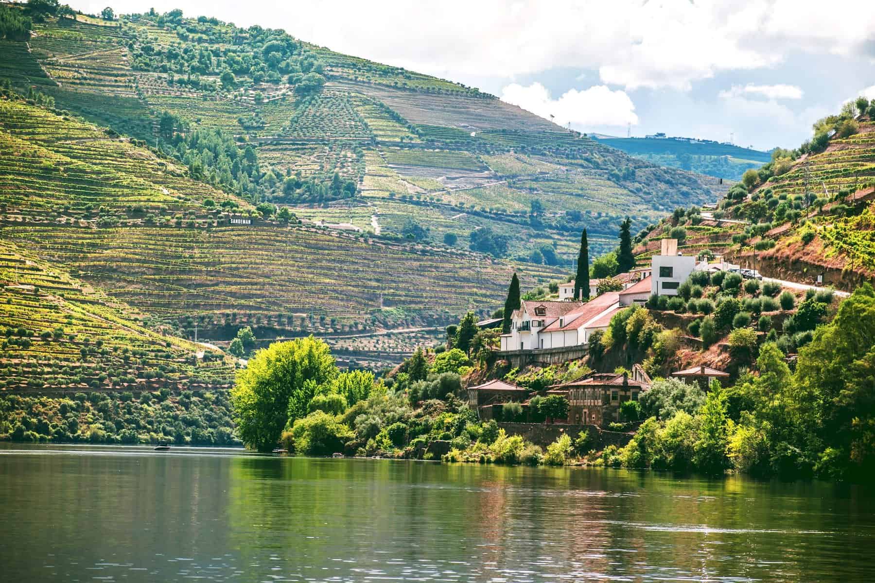 Douro - Portugal - wine country