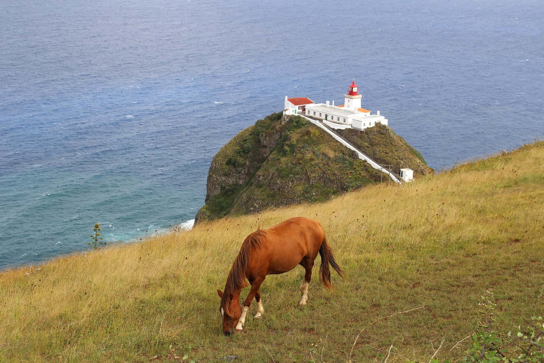 azores-santa-maria-island-lighthouse-in-ponta-do-castelo