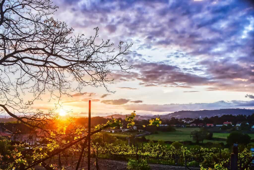 Torre de Gomariz Wine & Spa Hotel