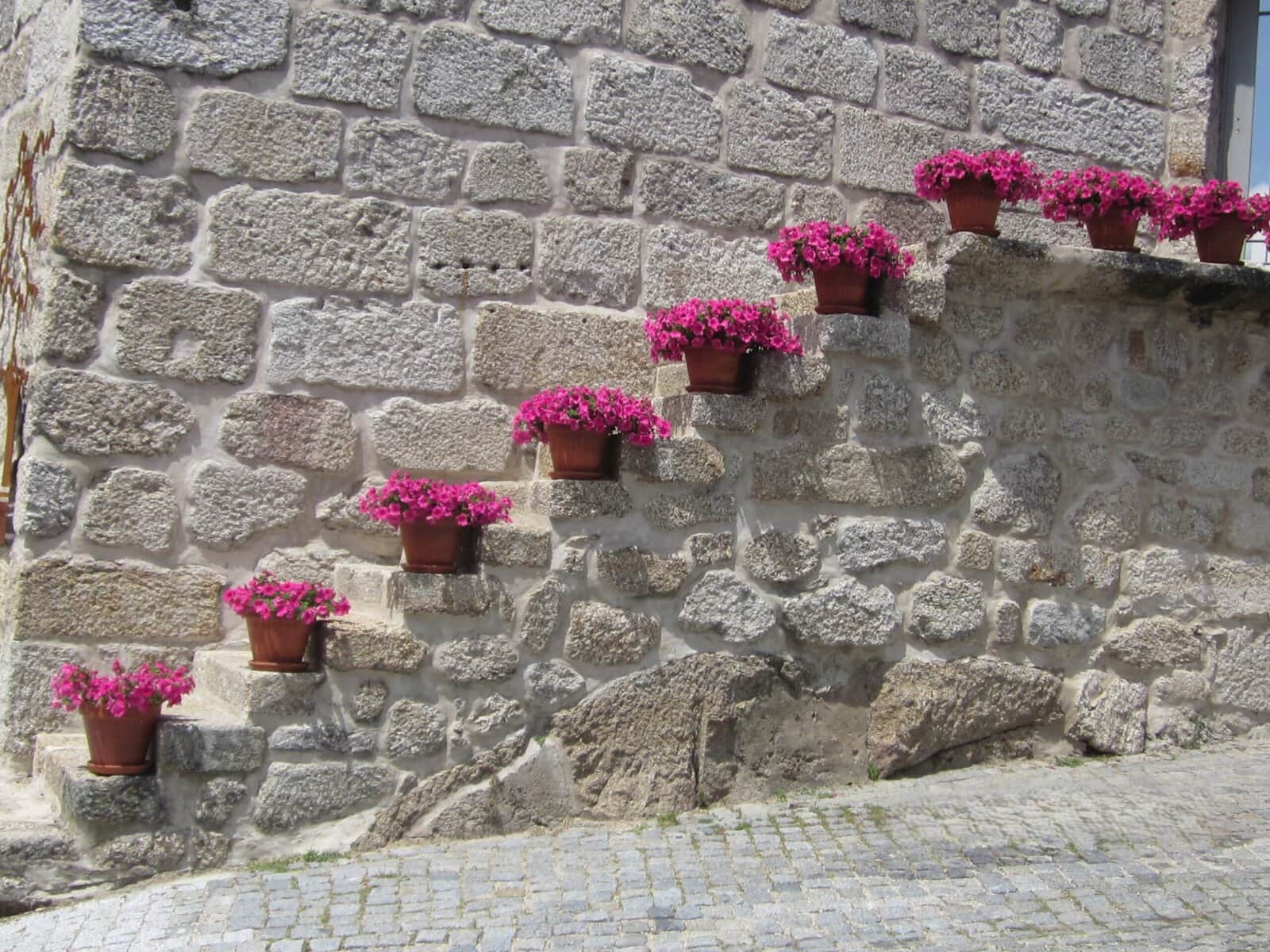 Belmonte-Portugal-street-stairs-flowers