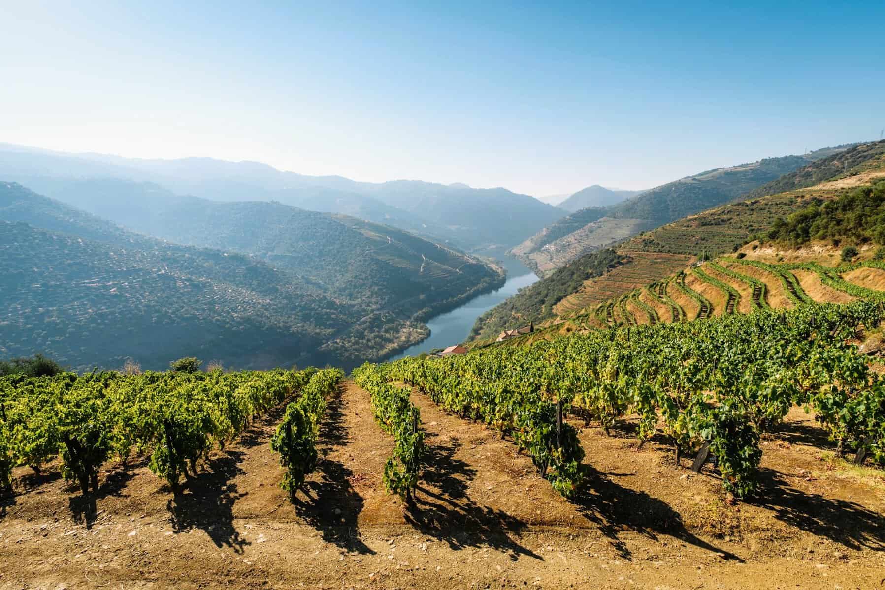 Douro-Valley-Portugal-VINES-HILLS-RIVER
