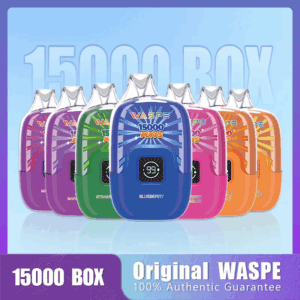WASPE 15000 Digital Box