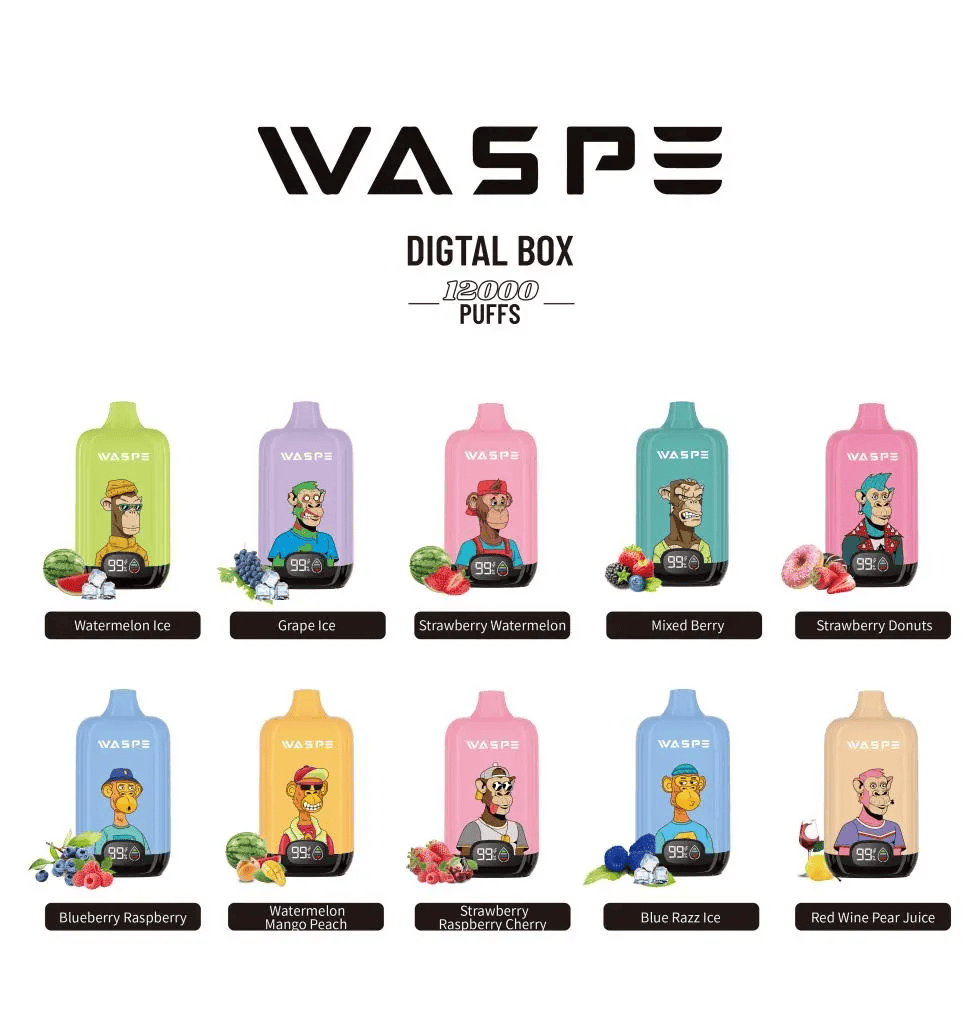 WASPE 12000 Digital Box – Bild 2