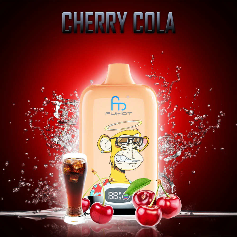 RandM Digital Box 12000 – Bild 2