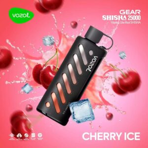 vozol 25000 züge VOZOL Vape