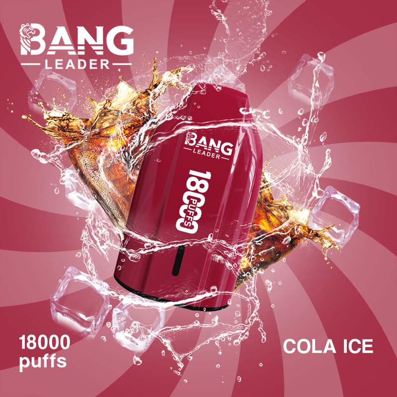 Bang Leader 18000 – Bild 3