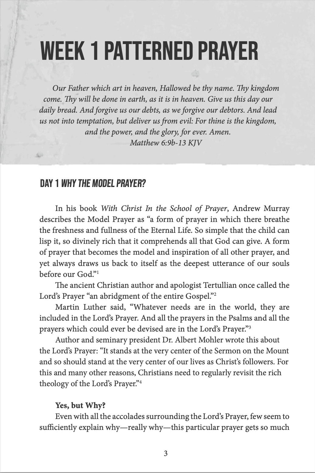 HE. WE. THEY. The Life-Altering Formula of the Model Prayer - Image 4