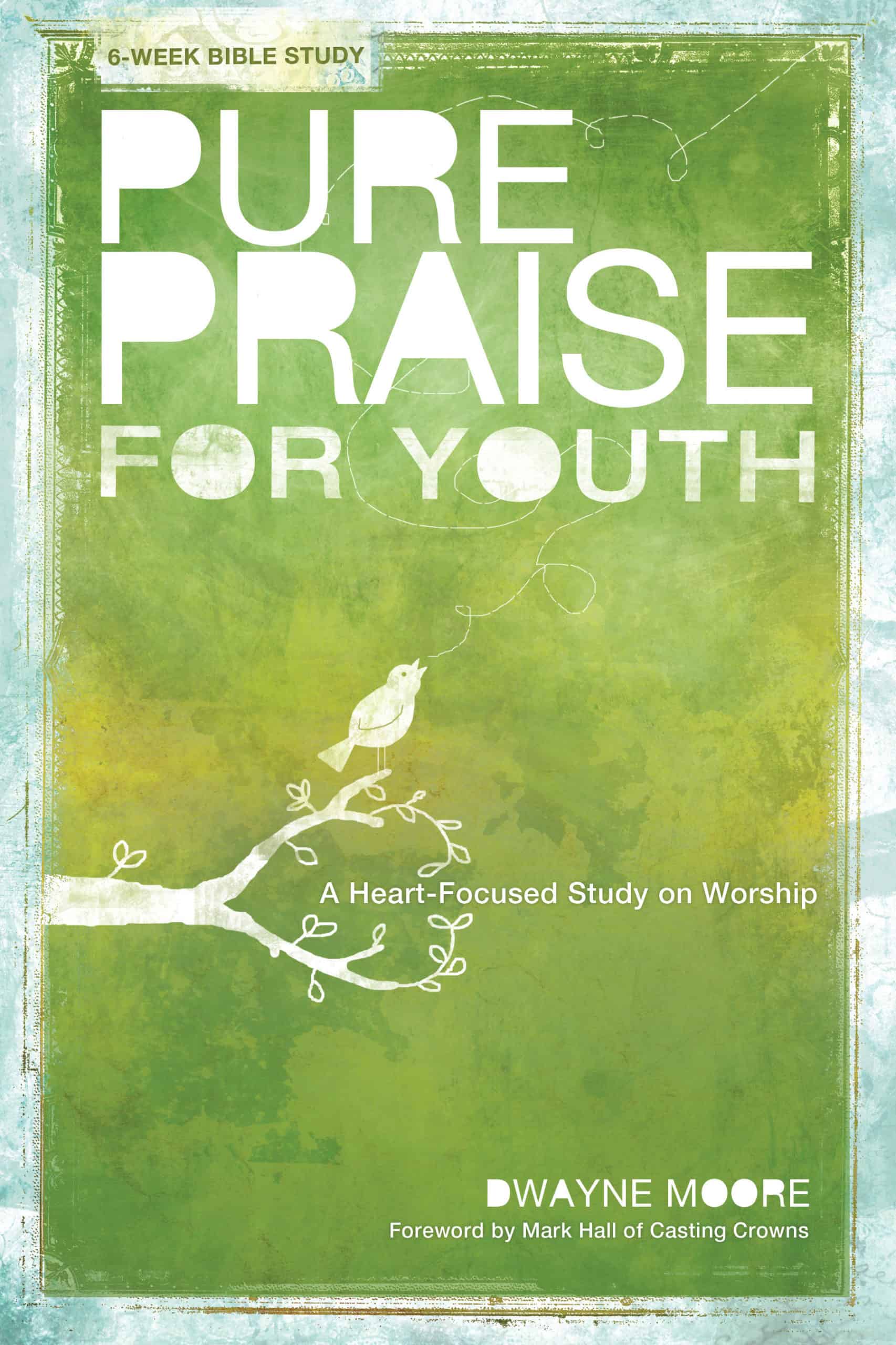 Pure Praise for Youth: A Heart-focused Study on Worship (Book)